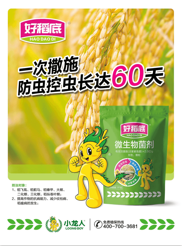 9e24863f1c26c2d80dc93372b9715f7