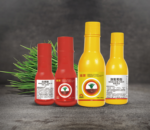 葱姜蒜专用-韭顶