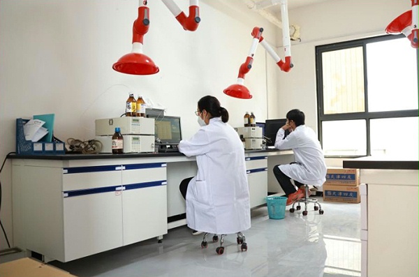 小龙人-研发团队（三）