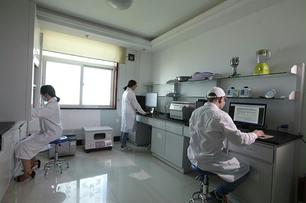 小龙人-研发团队（二）