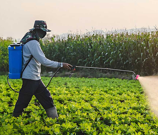 4a89fe2c09cf466caa1c50f219f99dd6_6