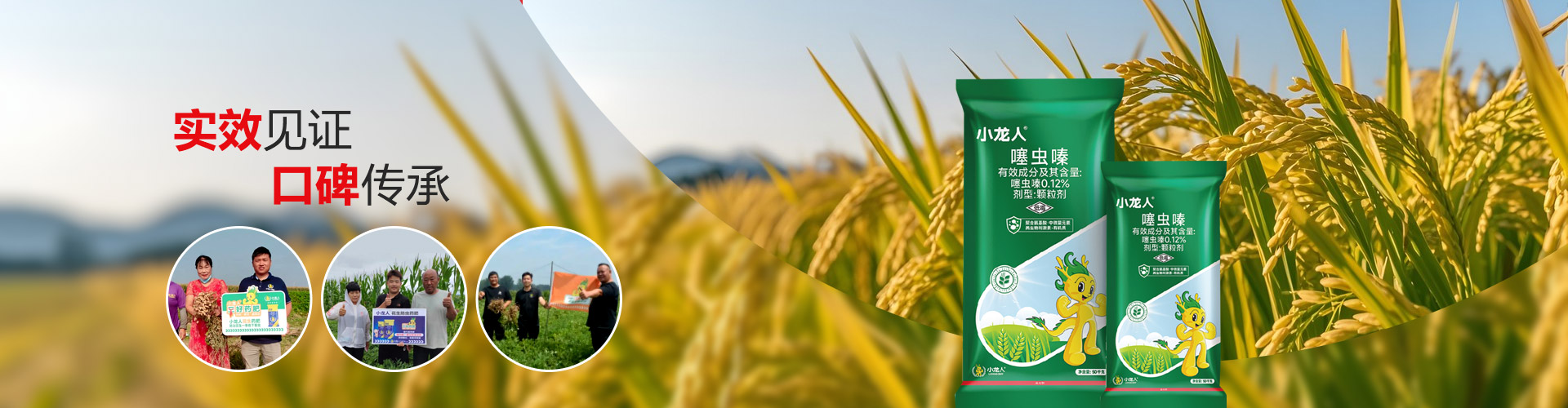 实效见证 口碑传承