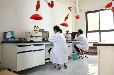 小龙人研发中心