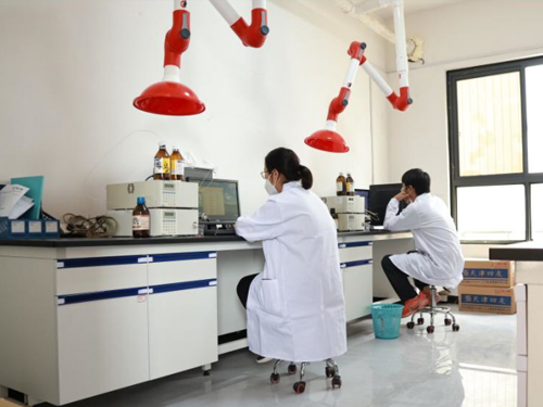 小龙人-研发团队（三）