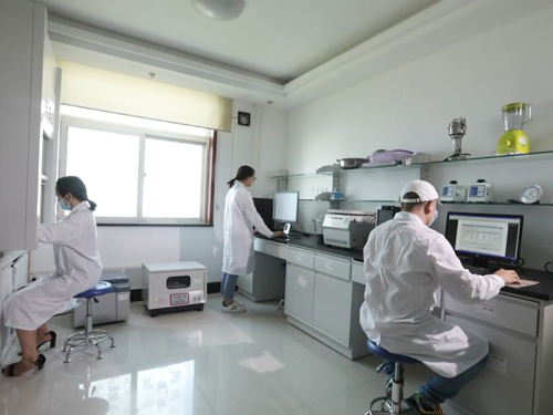 小龙人-研发团队（二）