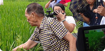 小龙人公司总经理李意先生陪同袁隆平院士冒雨察看溆浦横板桥乡小龙人药钾肥的示范效果