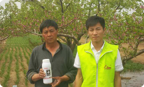 黑头蛆的克星——蛆虫克星