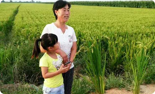 小龙人药肥挽救了我的家庭