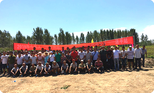 一管到底花生药肥观摩会遂平站成功召开