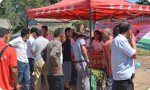 一管到底花生药肥