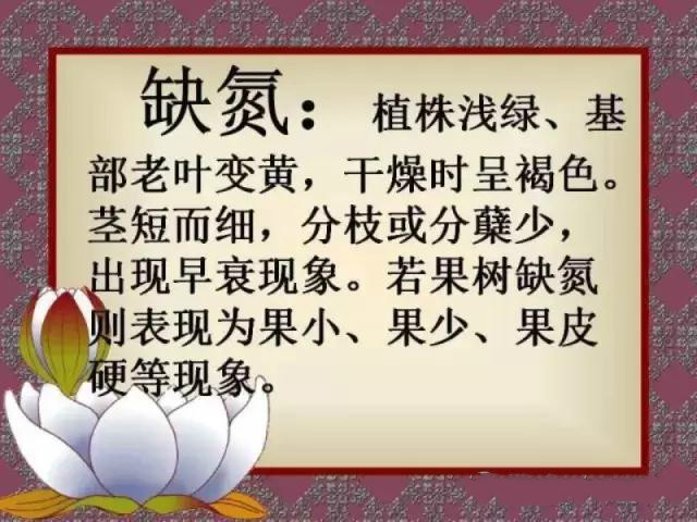 小知识2 小知识2