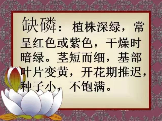 小知识3 小知识3