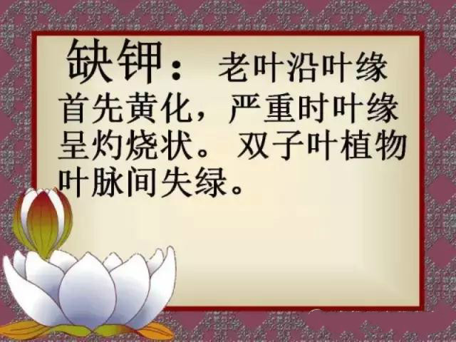 小知识4 小知识4