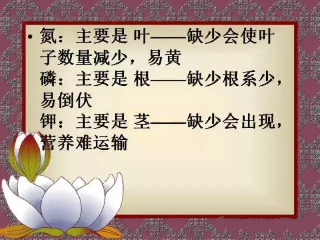 小知识5 小知识5