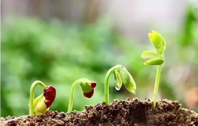 资讯10.30 资讯10.30