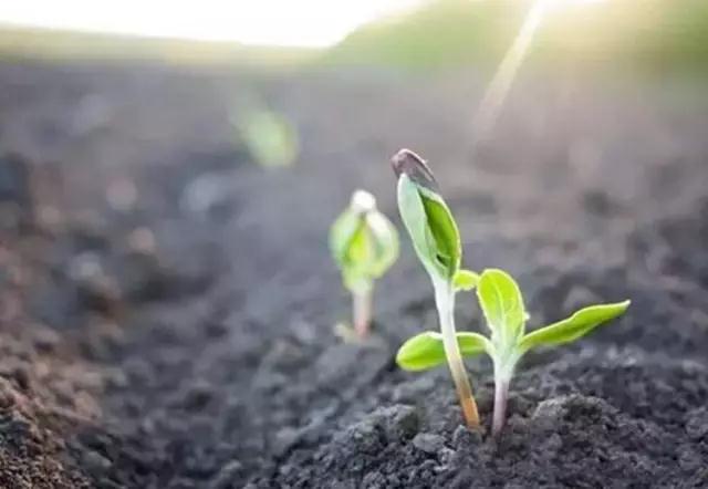 资讯10.301 资讯10.301