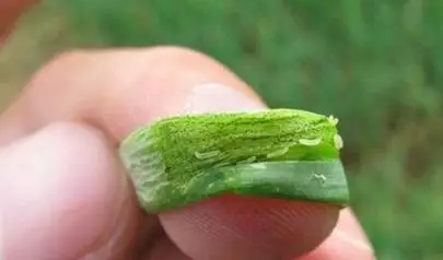 资讯图片11.2 资讯图片11.2