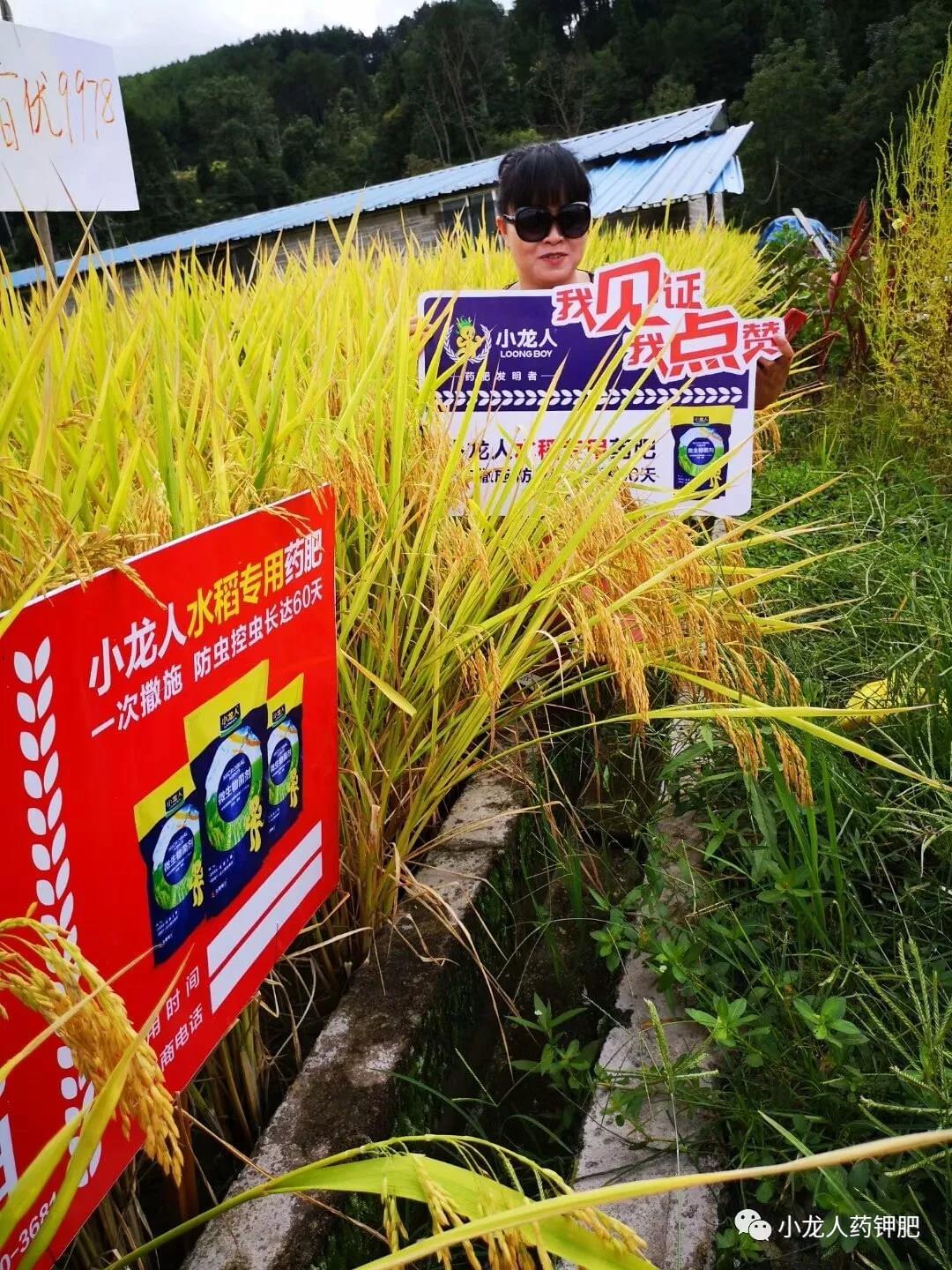 回访观摩精彩纷呈