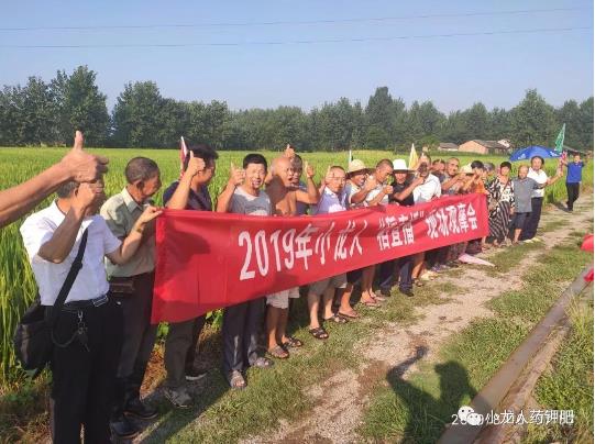 2019年8月16日：天门站第二、三场-小龙人水稻药肥观摩会