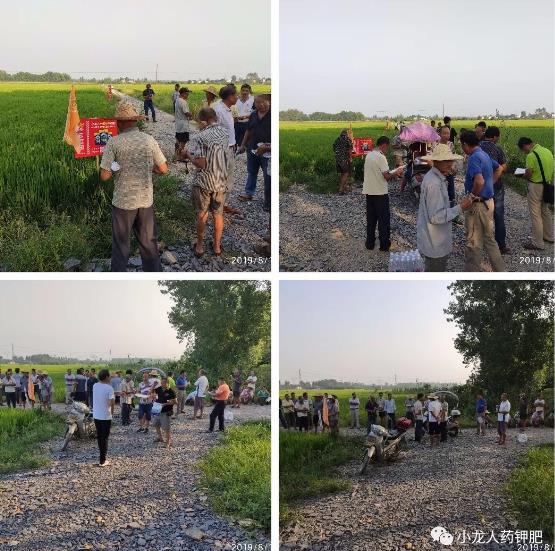 2019年8月19日：天门站第六、七场-小龙人水稻药肥观摩会