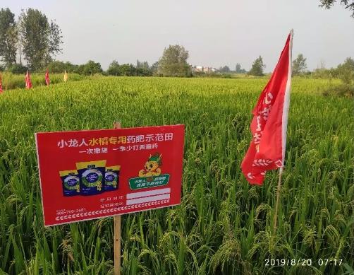 2019年8月20日：天门站第八、九场-小龙人水稻药肥观摩会