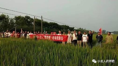 2019年8月24日：天门站第十、十一场-小龙人水稻药肥观摩会