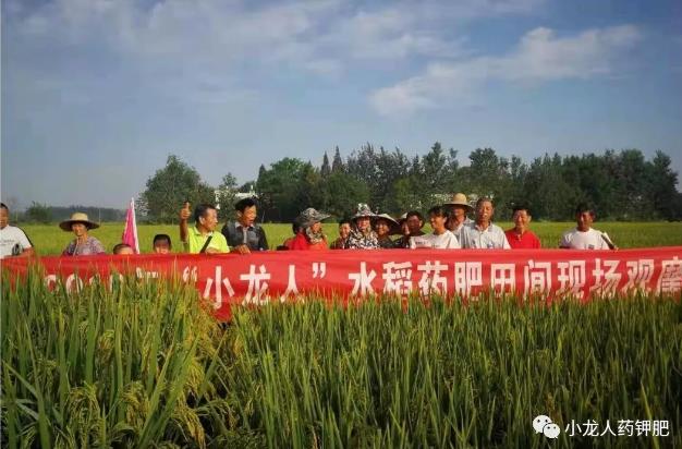 2019年第第19-23场-小龙人水稻药肥观摩会，种植户语录总结篇