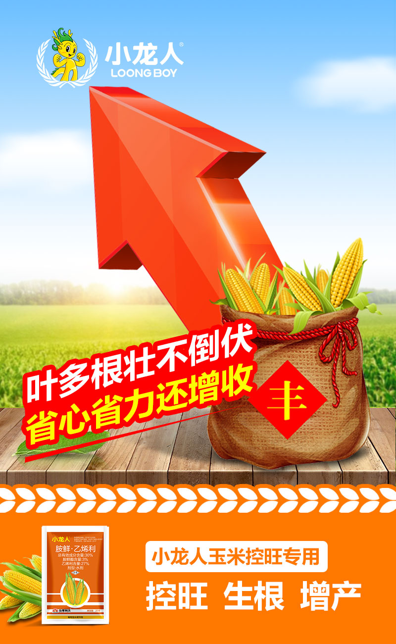 微信图片_201905151620071