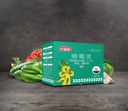 蔬菜种植常见病害与防治