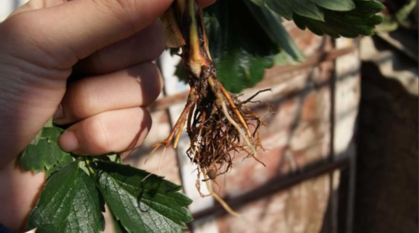 79f0f736afc37931aa8af877e5c4b74542a91189