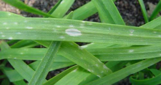 50bd84b87eb84343aae52b5ac4550749