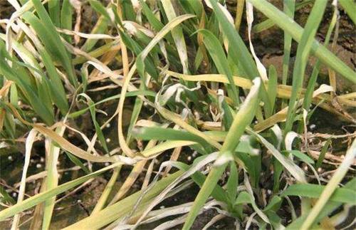 u=1852728966,2188207130&fm=26&gp=0