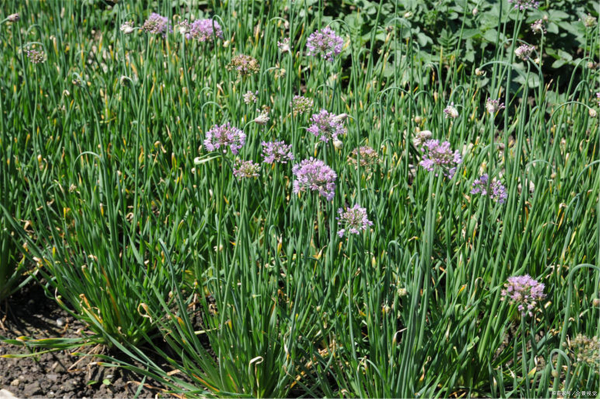 5882b2b7d0a20cf40eece9a166094b36acaf994b