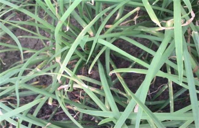 27dd5c022da2a4bfa99264288312689