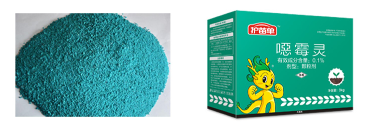 20201207094721_8191 20201207094721_8191