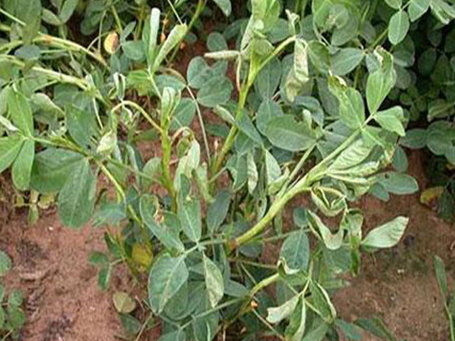 未标题-1 未标题-1