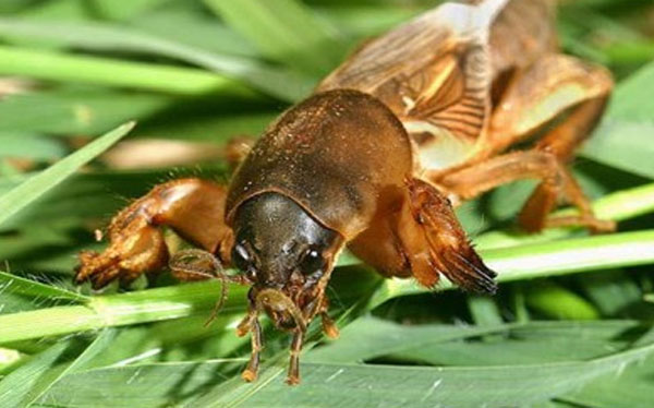 mp43946207_1448347888225_7