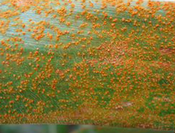 u=455950650,2690881414&fm=26&gp=0