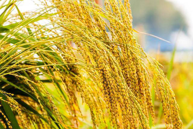 42166d224f4a20a4ae5460a6c8680924730ed0ce 42166d224f4a20a4ae5460a6c8680924730ed0ce