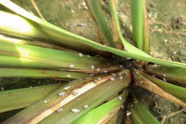 u=1197833308,2367735333&fm=26&gp=0 u=1197833308,2367735333&fm=26&gp=0