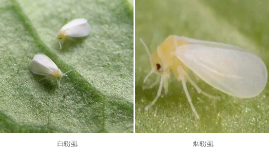 67e6b35e656d40b983e005b9e0af8117