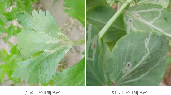 e02674a6bf5742588fc744181a778963