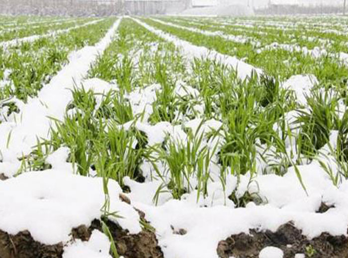 u=3084413157,388822285&fm=26&gp=0