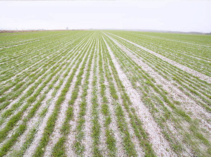 u=3113172819,4146567497&fm=26&gp=0