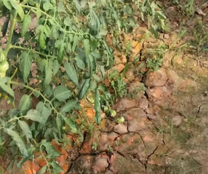 u=3615733710,2172225178&fm=26&gp=0