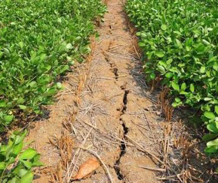 u=3778914188,4164405473&fm=26&gp=0