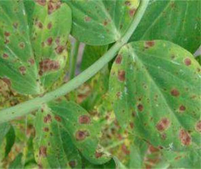 u=2834028218,1102797203&fm=26&gp=0