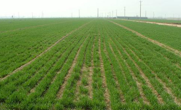 u=2884595030,692357640&fm=15&gp=0