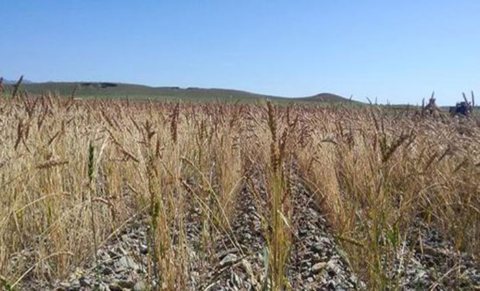 u=2495310938,100629866&fm=26&gp=0