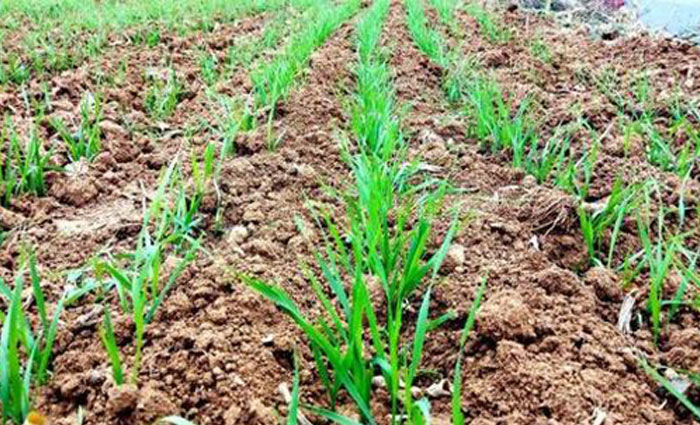 u=1436849214,632017128&fm=11&gp=0